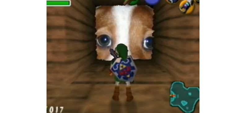 Illustration for article titled The Dog Behind One Of Twitch’s Oldest Emotes Has Died